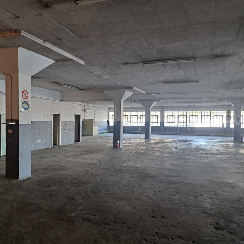 To Let commercial Property for Rent in Neave Industrial Eastern Cape